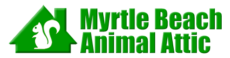 Myrtle Beach Animal Attic